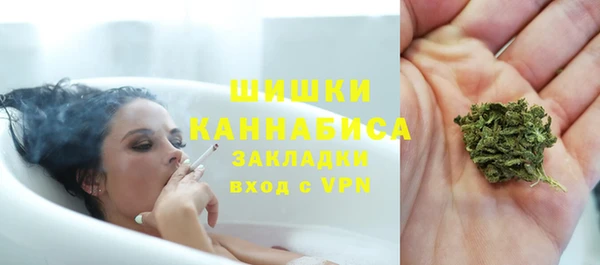 крисы Липки